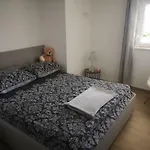 Zaja Lägenhet *