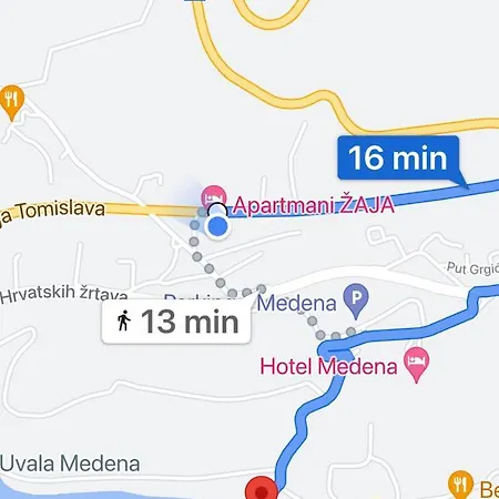 Zaja *